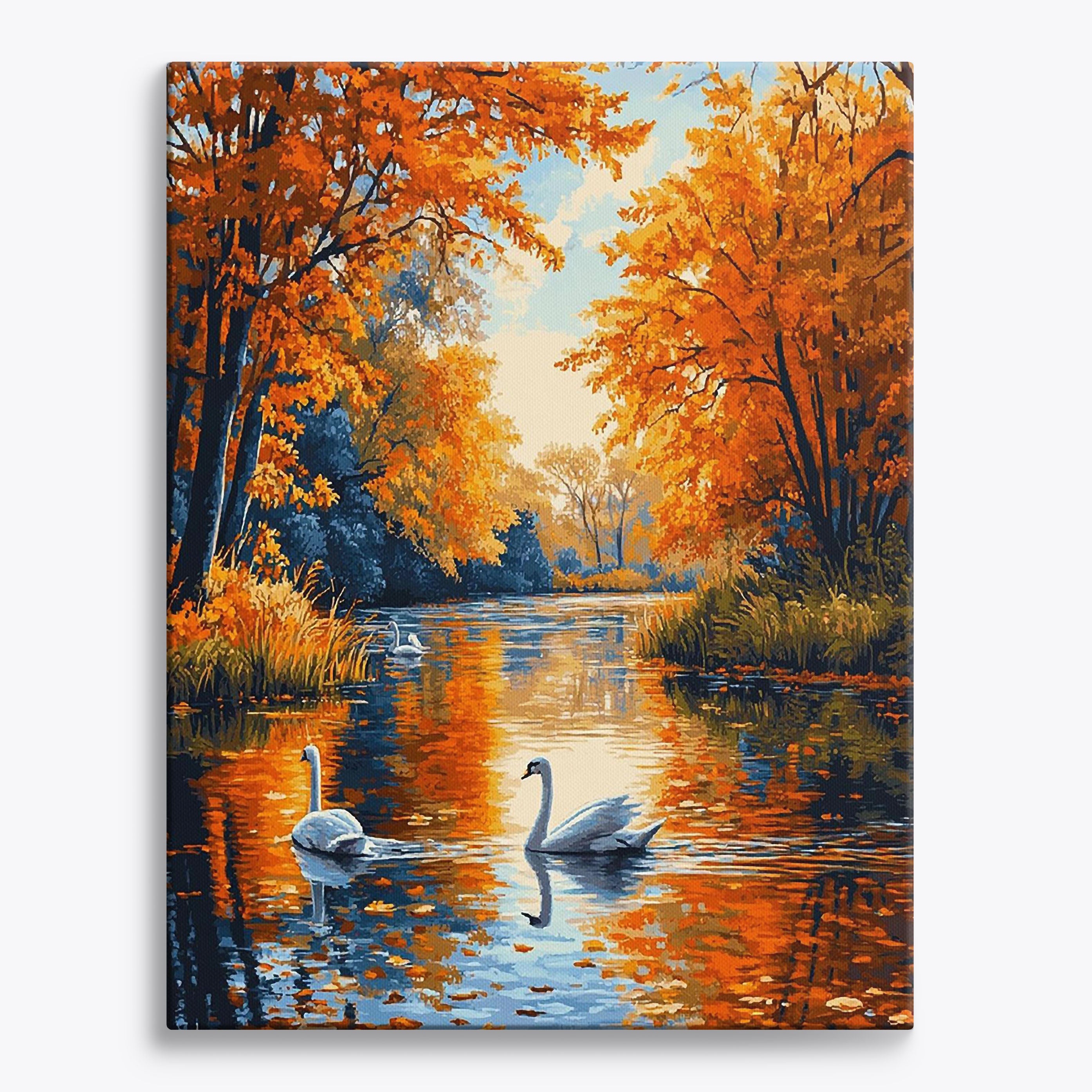 Swan Lake No Frame / Regular (19.7"x15.75"/50x40cm) / 24 colors